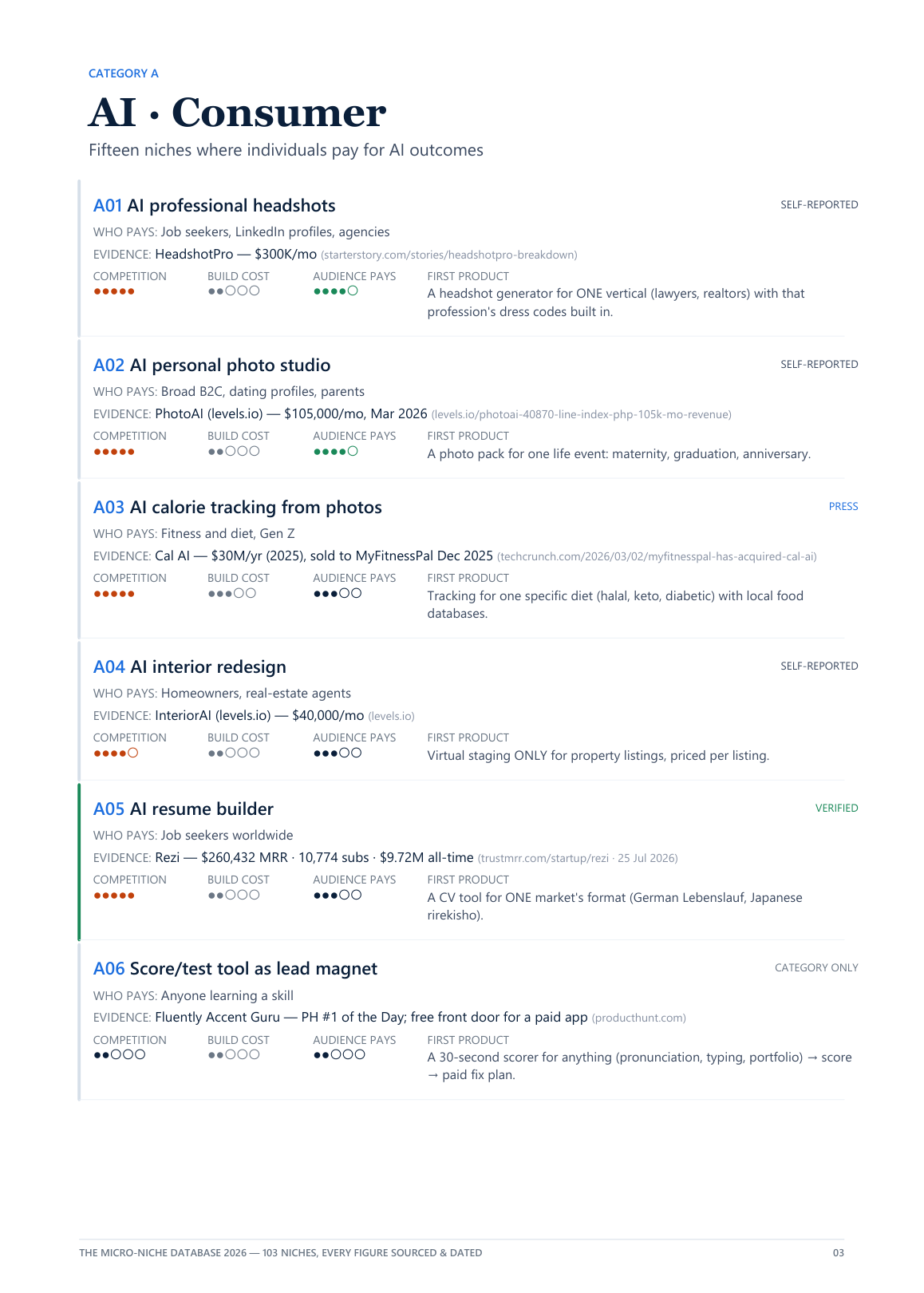 The Niche Scorecard — the actual Excel you receive